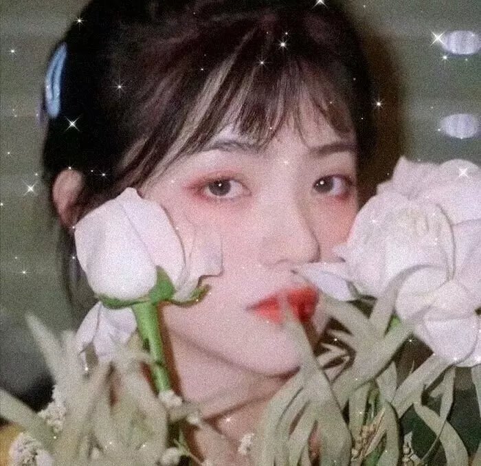我们就是派对